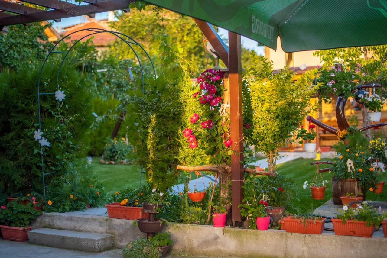 Guest House Vasilena Saparewa Banja Exterior foto